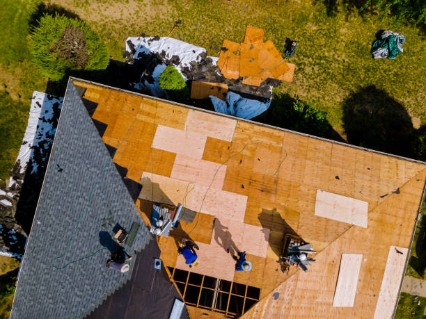 Best Emergency Roof Repair  in Glencoe, FL