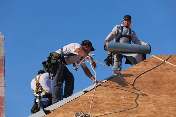 Best Flat Roof Repair Services  in Glencoe, FL