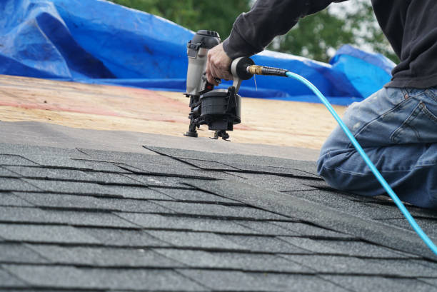 Best Roof Waterproofing Services  in Glencoe, FL