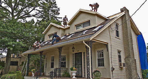 Best Roof Gutter Cleaning  in Glencoe, FL