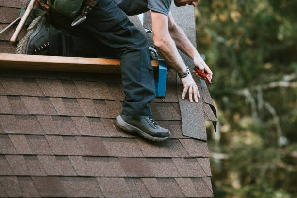 Best Local Roofing Companies  in Glencoe, FL